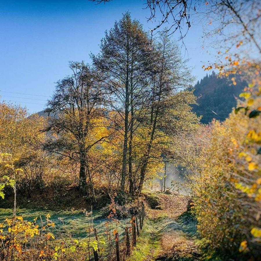 Bed and Breakfast Moulin des Borderies Singles Exterior foto